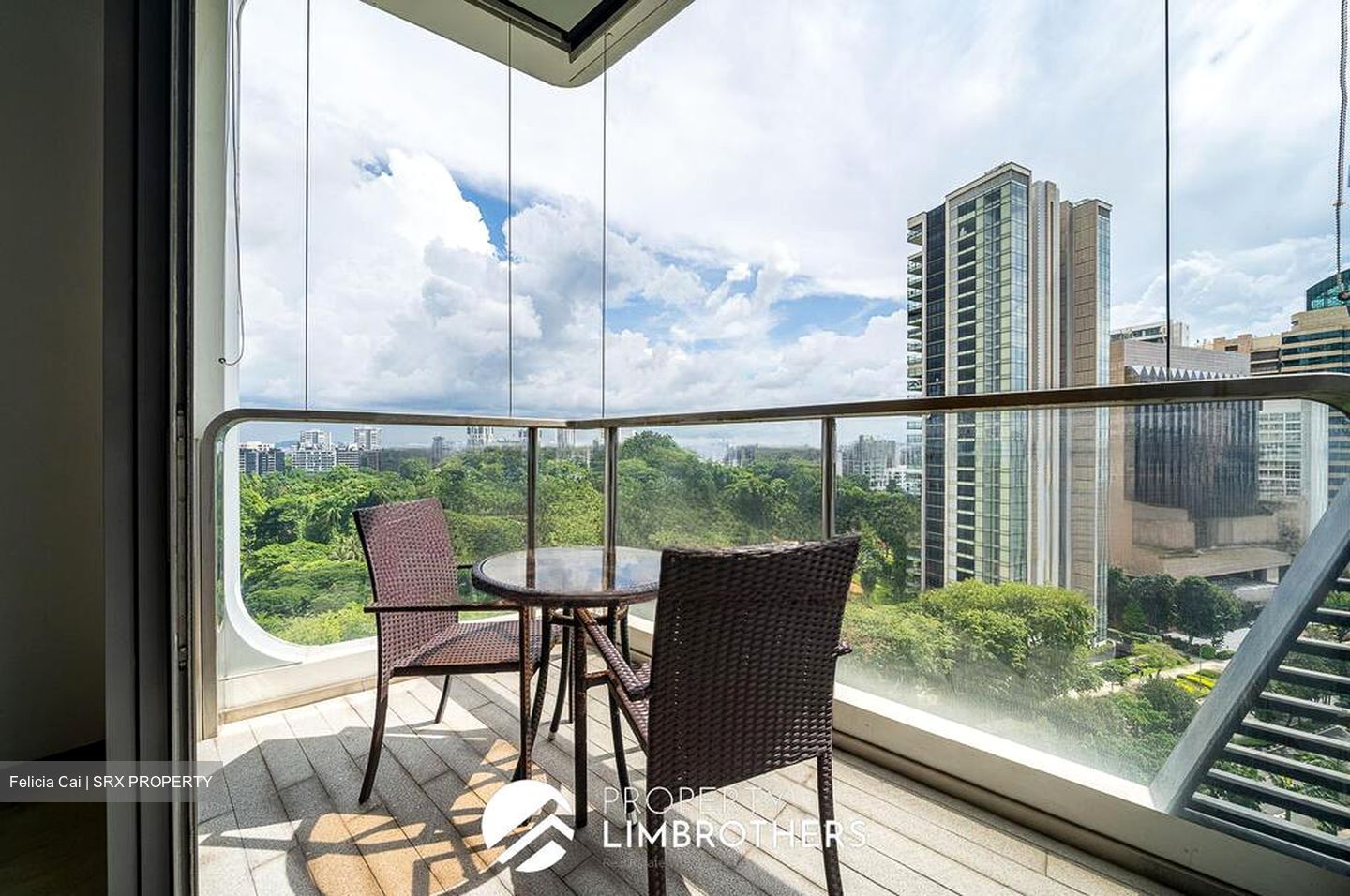 The Scotts Tower (D9), Condominium #518145811
